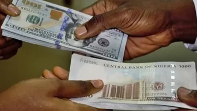 Photo of Naira continues its weakening trend, loses 26.2 per cent to the dollar in two weeks