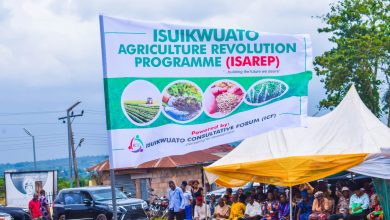 Photo of Building the future we desire through ISAREP, By Dr Chidi Ezike