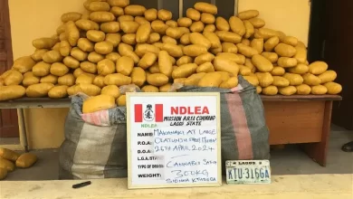 Photo of NDLEA nabs man at Lagos airport carrying 4,000 tramadol pills