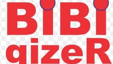 Photo of BiBigizer Africa pioneers transport sector decarbonization in Nigeria