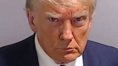 Photo of American democracy’s Trump test, By Dakuku Peterside