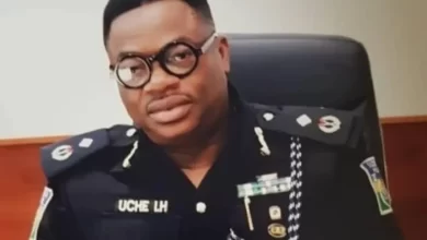 Photo of INTERPOL appoints Ifeanyi Uche, Nigerian CP, as chairman, African heads of cybercrime units