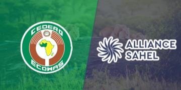 Photo of ECOWAS and the fear of regional Disintegration