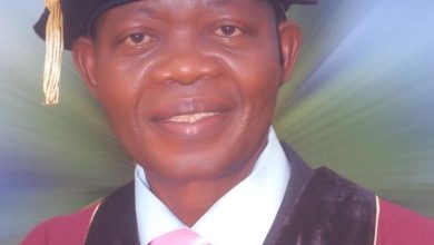 Photo of As a jittery presidency faces ‘Days of Rage,’ By Bisi Olawunmi
