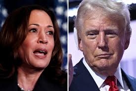 Photo of Nigerians joke on US election, ‘INEC declares Kamala Harris winner, tells Donald Trump to go to court’