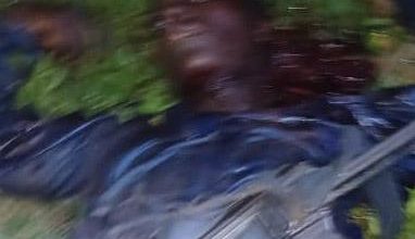 Photo of Courageous Kaduna locals overpower terrorists, kill one, rescue one victim – Police alleges
