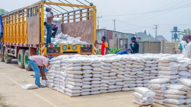 Photo of FG begins sale of rice at N40,000 a bag to civil servants, gives condition for purchase