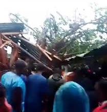 Photo of Heavy Rain: Fallen tree kills 4, many injured at Edo market