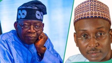 Photo of Former APC chieftain Salihu Lukman mocks Northerners in Tinubu’s govt, says they’ve been reduced to cheerleaders