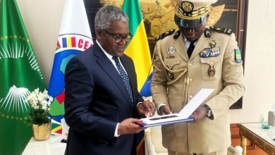 Photo of Gabon’s President Nguema invites Dangote to invest in cement, fertilser production in country