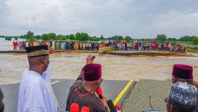 Photo of Flood cuts off Kano-Maiduguri Highway
