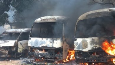 Photo of Protests escalate in Yobe as seven buses torched in Potiskum