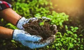 Photo of Why organic agriculture is key to a nation’s environmental and economic resilience
