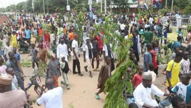 Photo of Allocations to LGs increased by 100%, protest ought to start there – Council chairman