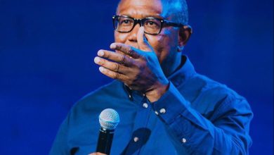 Photo of Education world’s most potent currency, says Peter Obi 