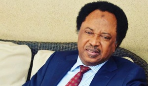 Photo of After removal of subsidies, borrowing such billions of dollars is a bit confusing to me – Shehu Sani
