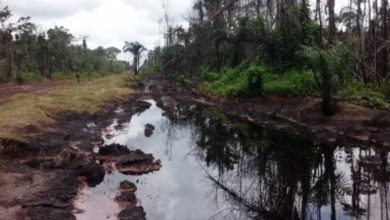 Photo of 27 Akwa Ibom communities groan as fresh oil spill pollutes water bodies