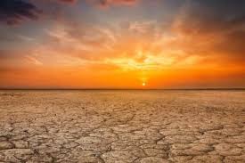 Photo of July 2024 was 2nd hottest month on record globally – EU climate service