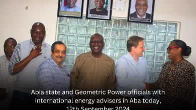 Photo of We’d like Abia to be Nigeria’s power hub, Nnaji tells Int’l Electricity Consultants