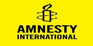 Photo of We have concrete evidence of extrajudicial killings in South-East – Amnesty I’ntl counters Nigerian military