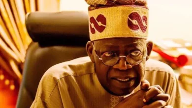 Photo of Outrage, anxiety as FG borrows N20.1trn under Tinubu *Borrowing rises 117% YoY