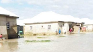 Photo of Flood sacks Shehu of Borno from palace, displaces residents