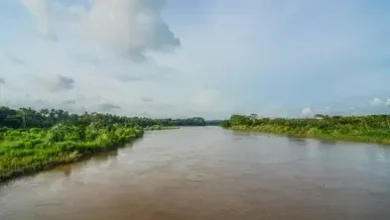 Photo of Many feared dead as commercial bus plunges into Ovia River in Edo