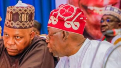 Photo of Presidency rationalizes absence of Tinubu, Shettima, says ‘There’s no leadership vacuum