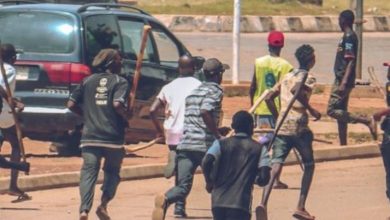 Photo of Edo Guber: Thugs assault PDP lawyers, forensic experts, others at INEC office