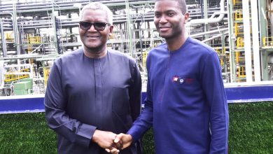 Photo of Caribbean countries seek Dangote’s partnership in Cement, fertiliser production
