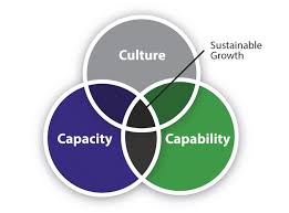 Photo of Centrifugal Forces: The unseen challenges of leadership