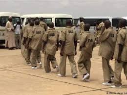 Photo of ‘Repentant’ Boko Haram fighters escape with government rifles, motorcycles