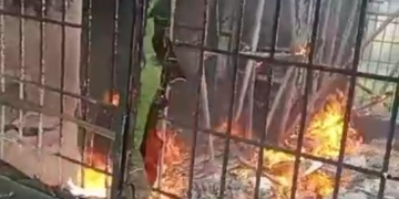 Photo of Violent clashes over council election escalate in Rivers, five feared killed 