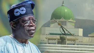 Photo of House of Reps moves to establish Bola Tinubu University