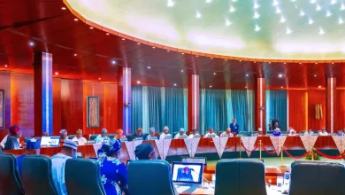 Photo of 2025 Budget: FG to borrow N13.8 trillion