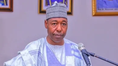 Photo of UTME: Zulum gives scholarship to female indigenes with 250, above
