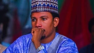 Photo of Nigerian judiciary, threat to democracy, says Senator