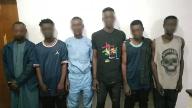 Photo of Another terror group emerges in Sokoto, State Govt raises the alarm 