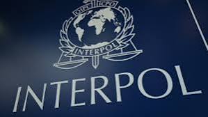 Photo of Criminals on INTERPOL red list arrested in Nigeria – Minister