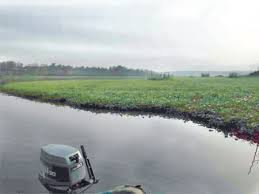 Photo of Yuletide: Passengers stranded as water hyacinths disrupt Lagos waterways transportation