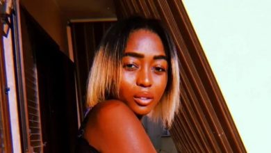 Photo of Hungry dogs attack, kill Nigerian woman in Italy