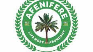 Photo of Afenifere demands Nnamdi Kanu’s release, appoints Dele Farotimi as Secretary