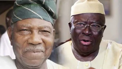 Photo of Farotimi’s appointment tears Afenifere apart