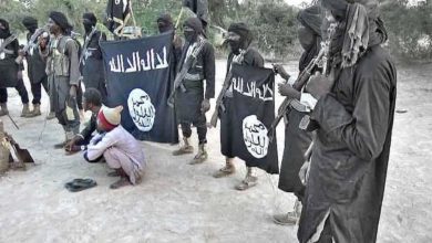Photo of ISWAP terrorists kill several farmers despite payment of levy to allow farming in enclave