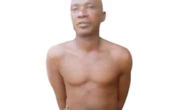 Photo of HORROR: We abduct our victims, dismember their bodies for sale, fortune soap, magic powder – Ritualist twins