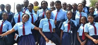 Photo of FG adds hairstyling, plumbing, GSM repair, others to basic education curriculum