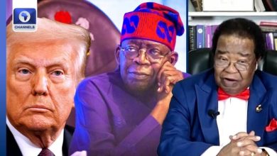 Photo of Avoid confrontation with Trump, Akinyemi tells Tinubu