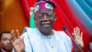 Photo of $6bn Mambilla Power Project: Tinubu did not drag any eminent Nigerian to Paris – Presidency