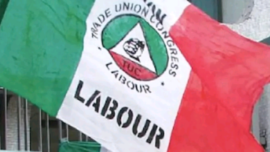 Photo of Labour demands arrest, prosecution of those funding insecurity; protests across states