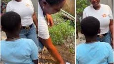 Photo of Gunmen abduct 3 family members, whisk them away to unknown location